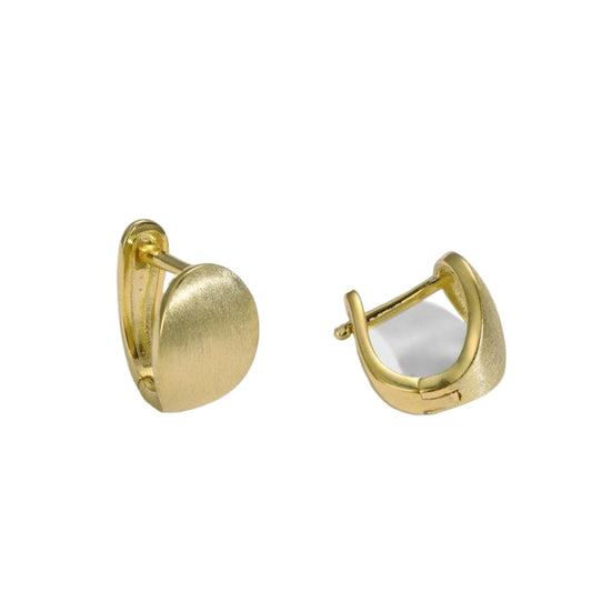 High-end semi-arc U-shaped brushed earrings